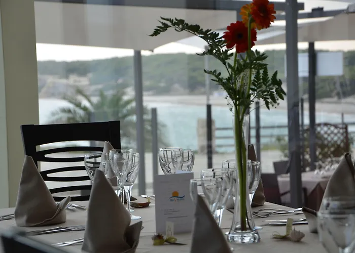 贝尔韦德雷酒店 酒店